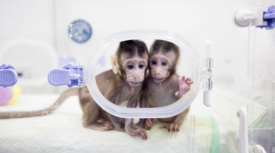 上海寶予德科學(xué)儀器有限公司官方網(wǎng)站